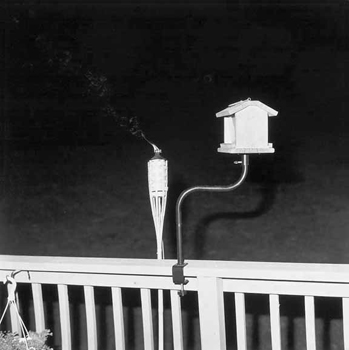 Tiki Lamp, Pricetown, PA